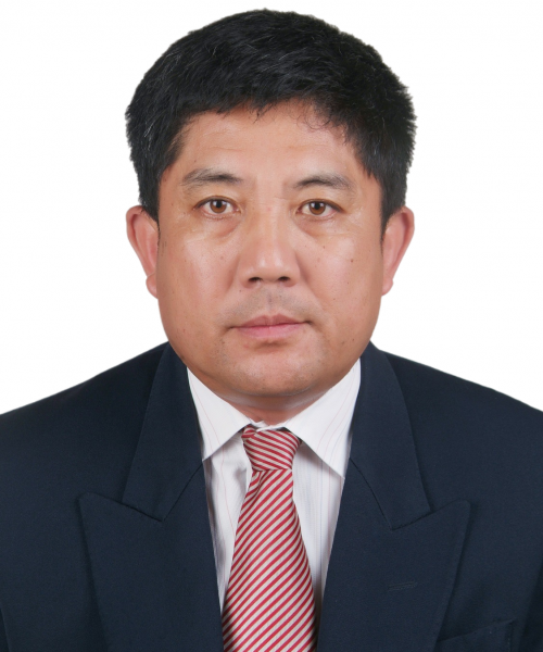 Prof. Liu He